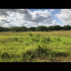 Meet your Posher, Daniela